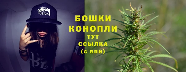 PSILOCYBIN Заволжье