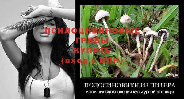 PSILOCYBIN Заволжье