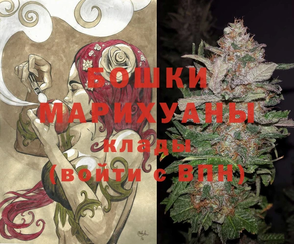PSILOCYBIN Заволжье